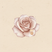 Remy Rose Boutique  - Home